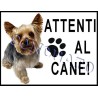 Cartello Attenti al cane