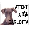 realizzazione cartello attenti al cane