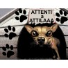 targa attenti al cane esempio