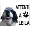 Attenti al cane Leila