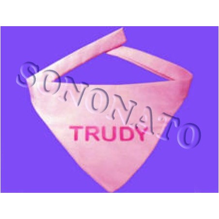 bandana personalizzata per animali