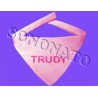 bandana personalizzata per animali