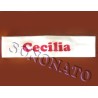 fascia con nome per capelli