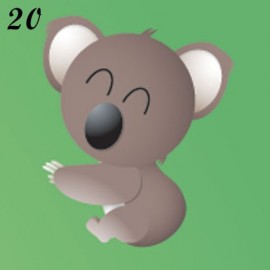 Lucina notturna immagine Koala