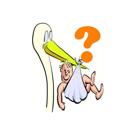 calcolo personalizzato per sapere se è maschio o femmina senza ecografia