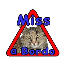 Realizzazione Adesivi Gatto a bordo