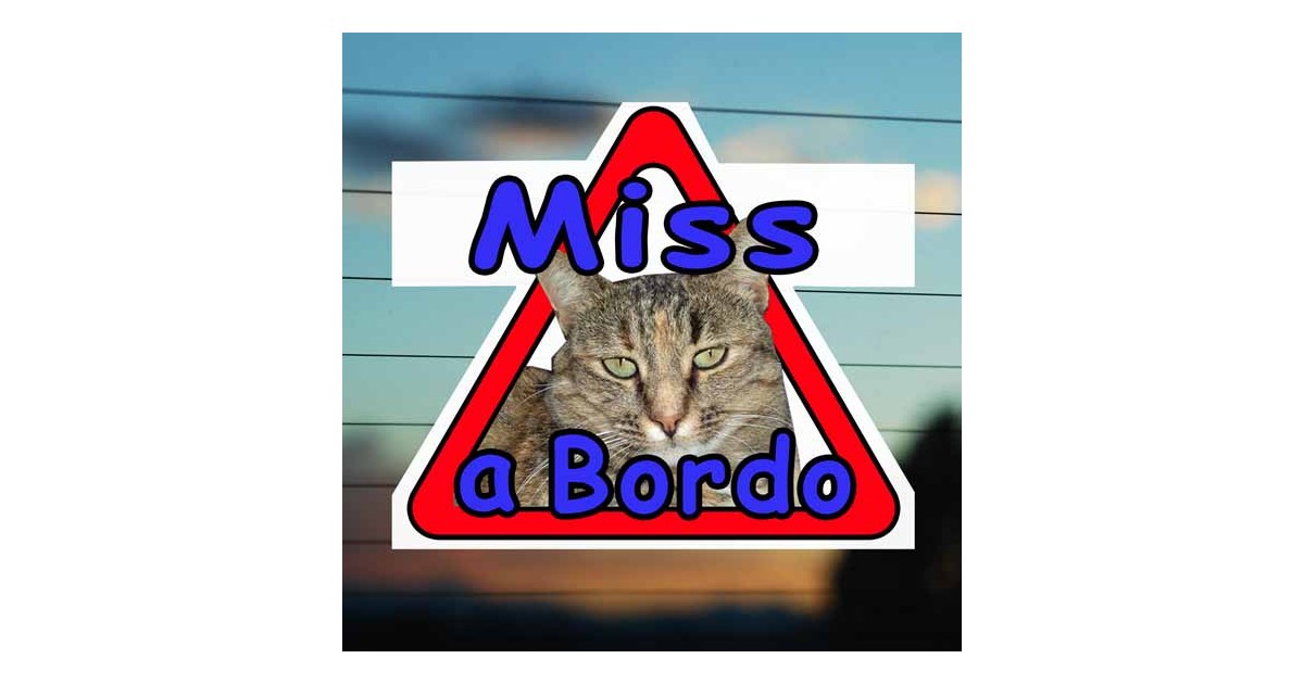 Adesivo Gatto a bordo con foto