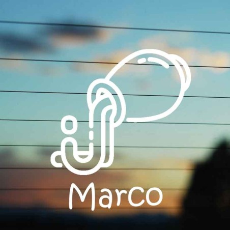 Adesivo oroscopo segno zodiacale Acquario