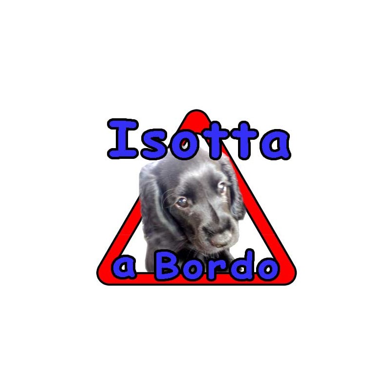 CANE A BORDO. ADESIVO PER AUTO CON IL NOE DEL CANE. Sticker Senza